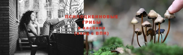 mdpv Аркадак