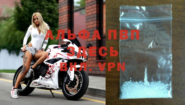 гидра Арсеньев