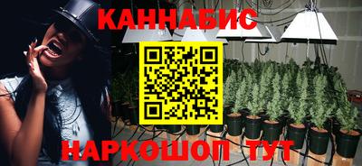 прущие грибы Кудрово