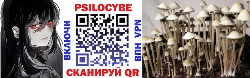 где можно купить наркотик  мега ССЫЛКА  Псилоцибиновые грибы мухоморы  Кореновск 
